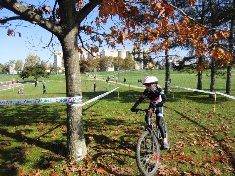 Cyclo cross Chalon 8/10/2015